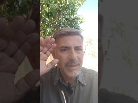 Evangelio del Nuestro Señor Jesucristo Con el Padre Fabian Esteban Oliva. 24/11/25