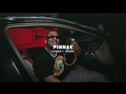 Pinnak ( Slowed + Reverb ) - SAMBATA