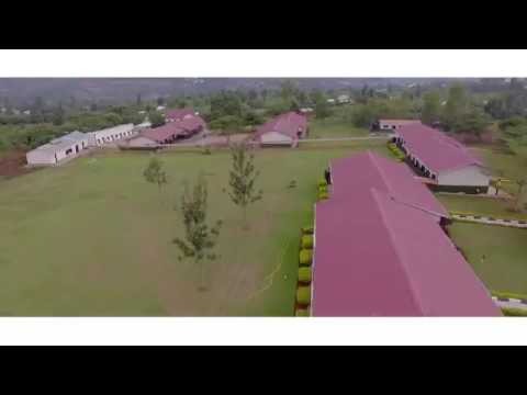 DALIYA UKWIRIYE GUSABA IMBABAZI