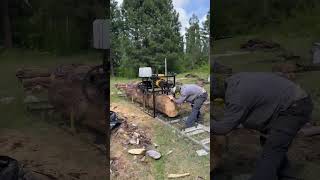 Full cut part 3 - TK1300 - In Epuyen - Sent by Shanti