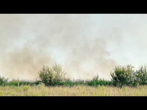 Incendio al Polo scientifico di Sesto Fiorentino