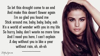 Selena Gomez &amp; The Scene - A Year Without Rain (Lyrics) 🎵