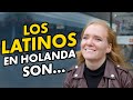 I Like Latinos But They Re DRAMATIC DUTCH RESPOND