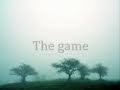 Echo and The Bunnymen - The Game