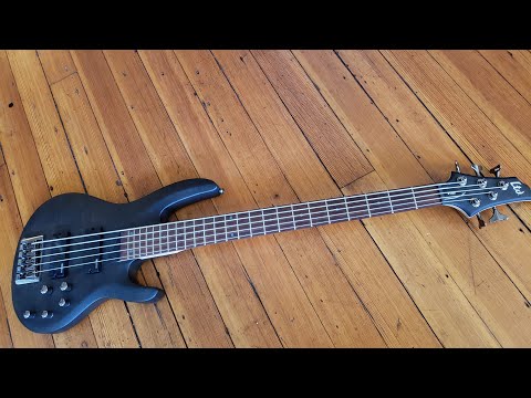 LTD B205SM Full Demo | Honest Review