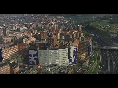 Barakaldo; Hospitales y Servicios 2005