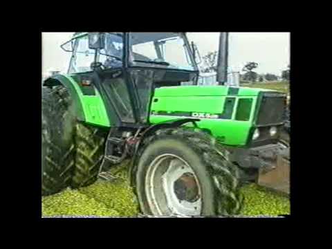 Loonw. De Baets - Loppem