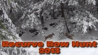 ( 3 YARDS! ) Recurve Bow Deer Hunting 2013 - Shane