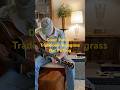 Down Yonder-Traditional Bluegrass, cover by John Fox #acoustic