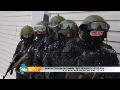 Новости Псков 10.11.2016 # Учения спецназа "Зубр"