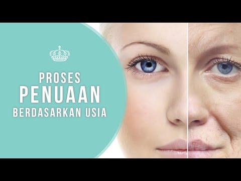 Berarti tes untuk potensi peningkatan Bijaksana dan potensi