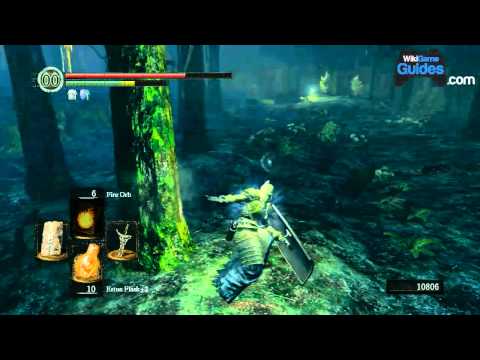 Dark Souls Walkthrough - Dark Souls Guide - Darkroot Garden: To the Great Grey Wolf Sif