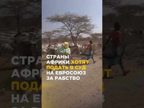 Страны Африки хотят подать в суд на Евросоюз за рабство #shorts #short #африка #евросоюз #суд