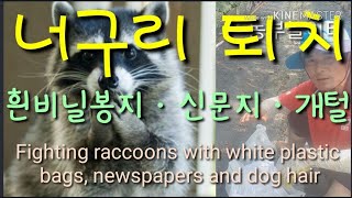 흰비닐봉지ㆍ신문지ㆍ개털로 너구리를 퇴치하기  Fighting raccoons with white plasti…