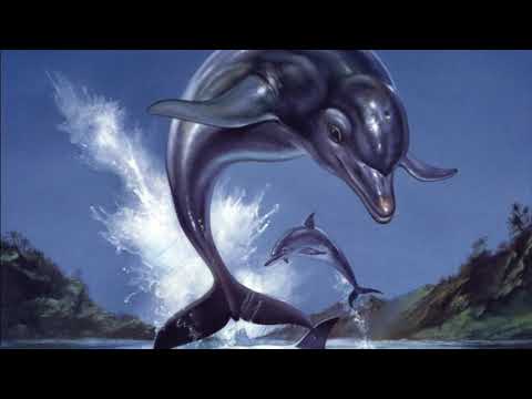 Best HD VGM 1312 - Jurassic Beach - [Ecco the Dolphin (Sega CD)]