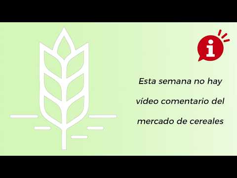 Comentario cereal – 26/10/2026