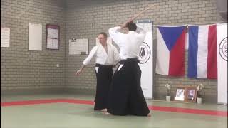 Aikido seminar met Jiri Marek”(2019)