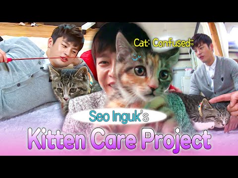 When Confused Kittens Meet Caring Seo Inguk  ソイングク 😻😻😻