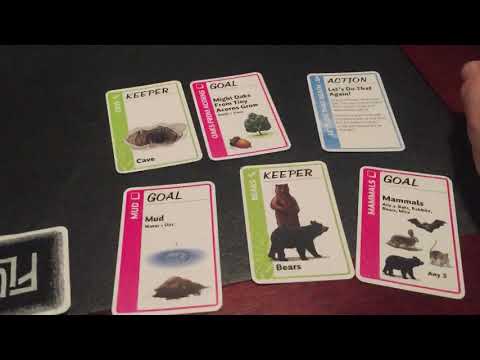 Spencer Breustedt teaches Nature Fluxx with a sample game