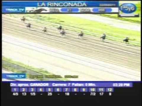 Resumen Domingo, 22 de Mayo de 2011 - La Rinconada