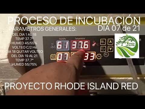 PROCESO DE INCUBACIÓN DIA 06/21 a 07/21