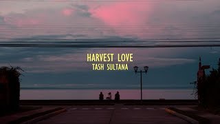 Harvest love - Tash Sultana || Lyrics