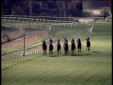 Galoppo 30/11/2019 - 5ª corsa