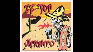 ZZ Top-  Me so stupid