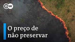 Miniatura do vídeo
