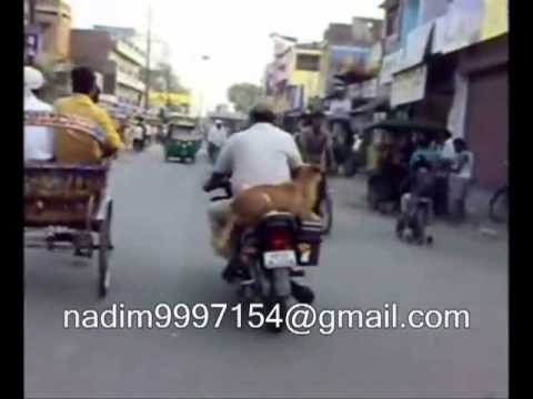 TERI MEHARBANIYA KA KUTTA