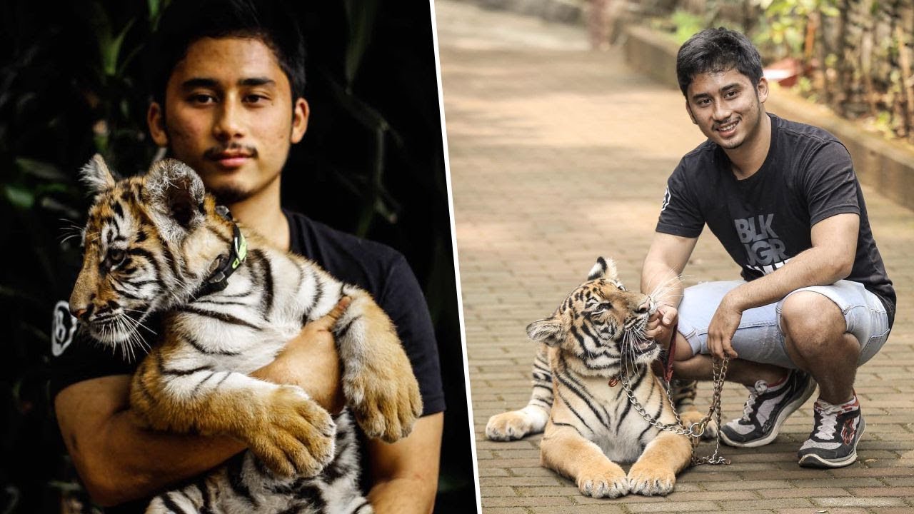 Bagai Istana dan Dijaga Harimau, Tengok Isi Rumah Senilai 