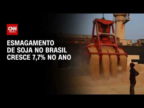 Esmagamento de soja no Brasil cresce 7,7% no ano; veja dados | CNN AGRO NEWS