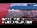 Tot tien jaar cel geëist voor invoer cocaïne via haven