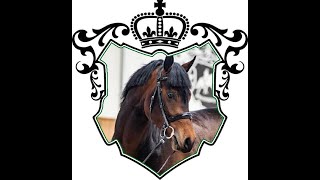 Video di Con Corneto