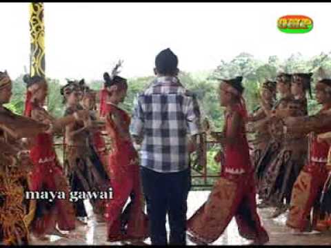 Buai Ati Bingung Lagu Gawai 2013