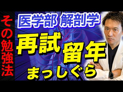 医学科 【もっと早く知りたかった】解剖学で９２％の医学生がつまずく原因は○○○でした…(医学部,CBT,OSCE,川崎医科大学,日本大学,帝京大学,杏林大学,岩手医科大学,東京大学)
