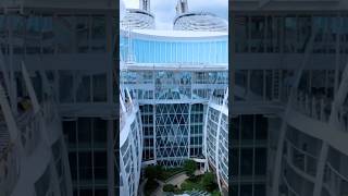 Harmony of the Seas 🚢 World’s Most Epic Mega Cruise Ship! 🌊✨ #Shorts #Cruiseship