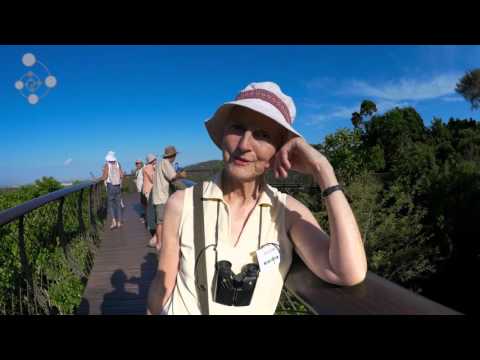 Kirstenbosch Bird Walk