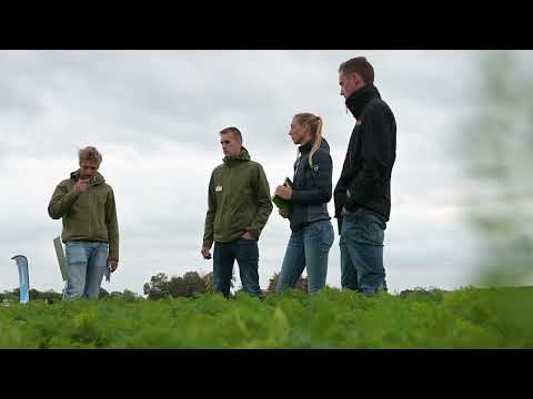 Op weg naar een duurzamere peenteelt!  Delphy Dag B-Peendag 2022