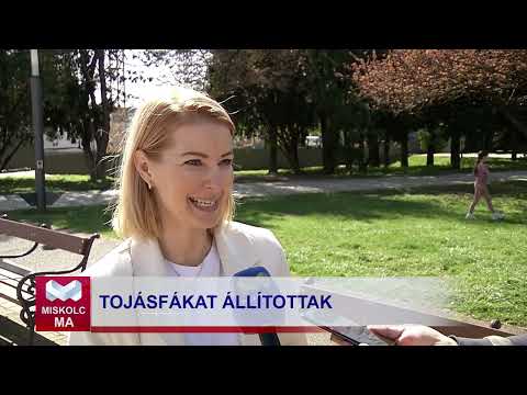 Videó előnézet
