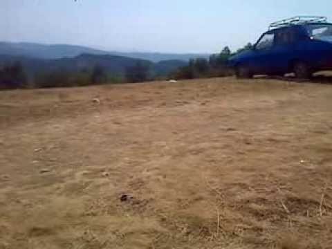 Teknival 2013 Carbunari