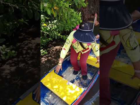 El Planetario en el estado Zulia 🌠🪐☄️ #mara #turismp #reportaje