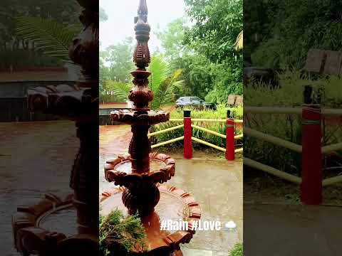 Barish ek dhun saab ko acha lagta hai 😊 Hai na #shortsviral