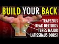 Build Aesthetic Back (Men's Physique Specialization) | Full Workout Explained