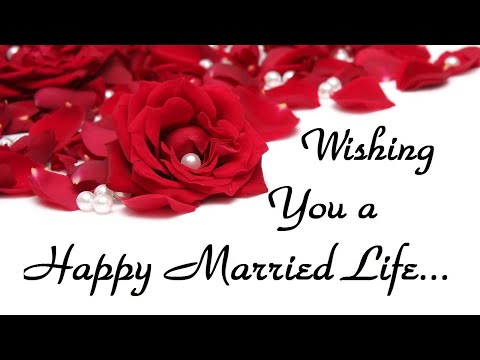 !! LIVE !! #wedding ceremony OF Avdaman & navroop ON 01.02.2024