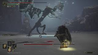 Elden Ring PC Death Rite Bird 死儀礼の鳥 攻略2022 0528 1555