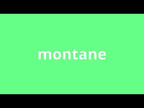 what is the meaning of montane.