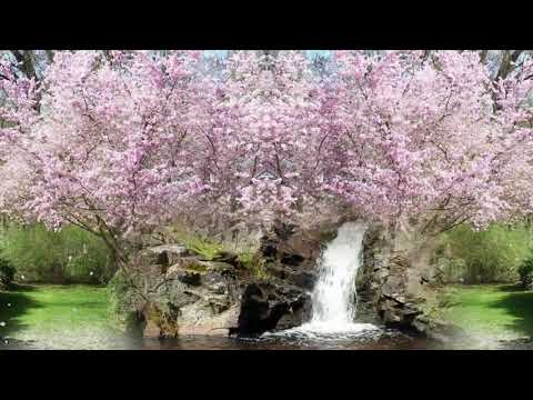 Beethoven  - 9th symphony   (Ode to Joy)   -  Waldo de Los Rios