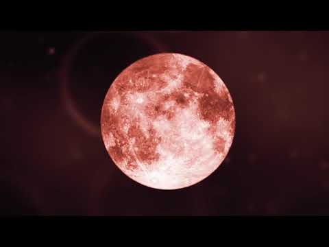 download lagu mp3 mp4 Steady Eyes, download lagu Steady Eyes gratis, unduh video klip Steady Eyes