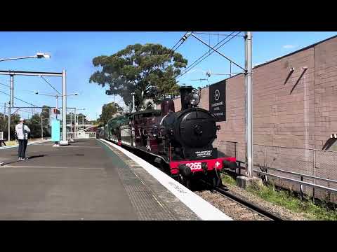 3265(steam) / 3526(steam) / 4501 / 4490 / 4916 - 10/08/23 - 6S60 passing Eastwood